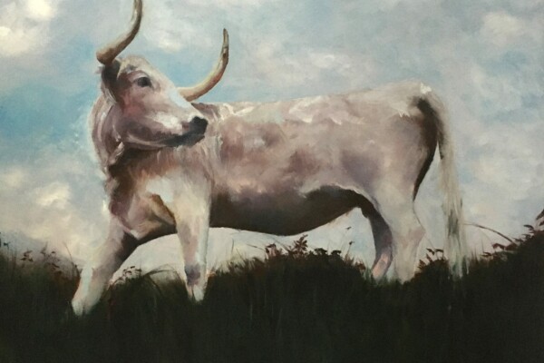 La vache sacrée