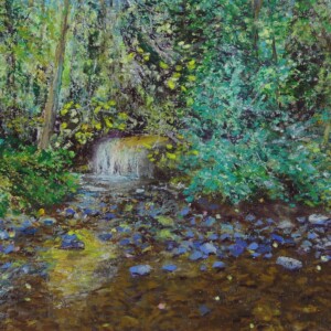 Rivière en sous-bois