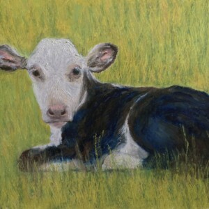 Don't be afraid, I don't it meat !